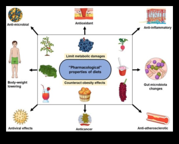 ما وراء السعرات الحرارية: الأبعاد الأعمق للقيمة الغذائية