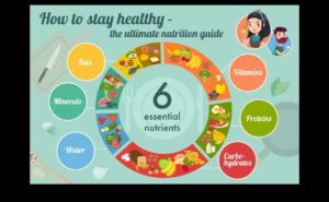 العناصر الغذائية الحاسمة: فهم النقص والتغلب عليه