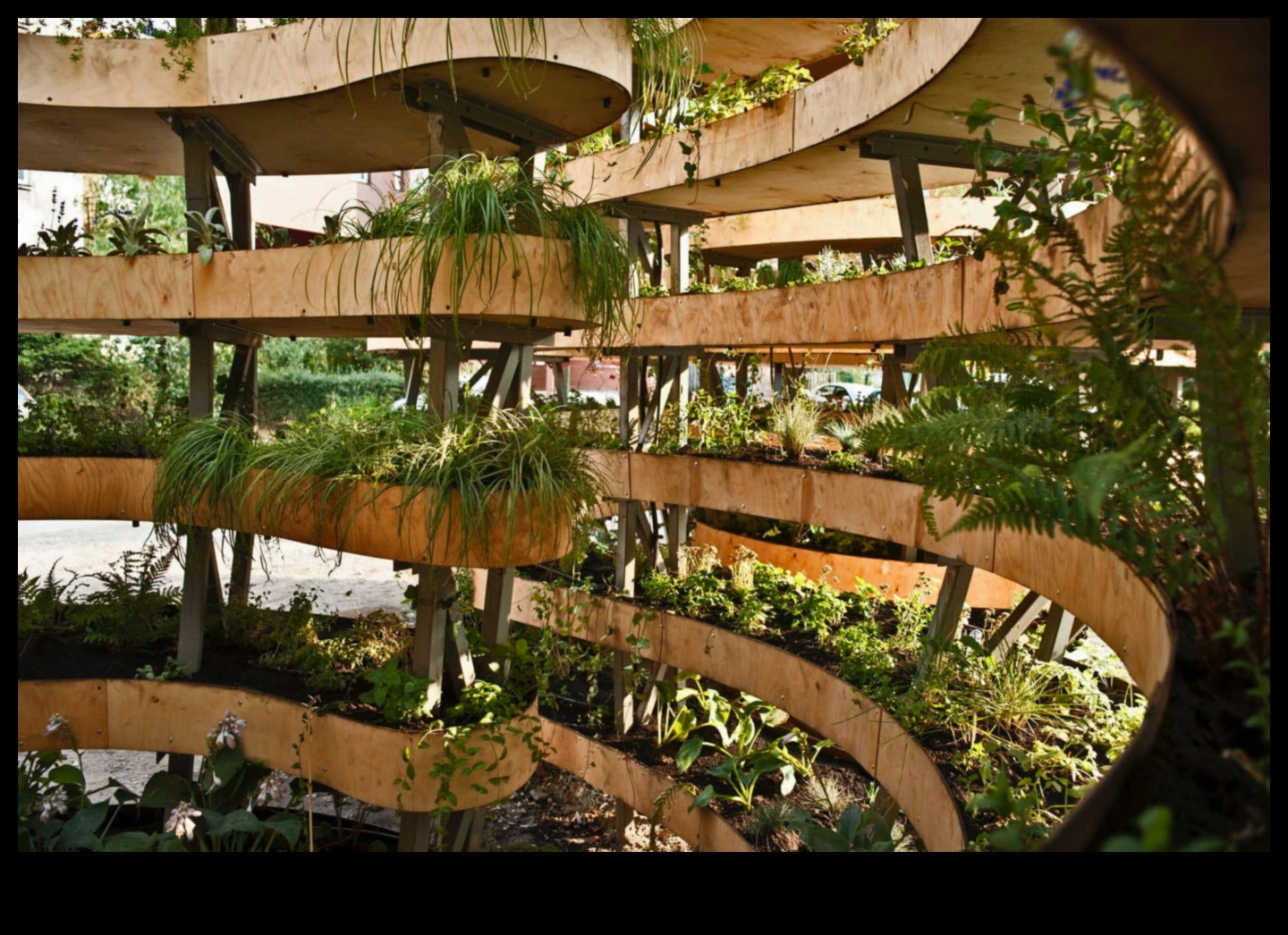 الواحات الخضراء: المتنزهات والحدائق في قلب المدن