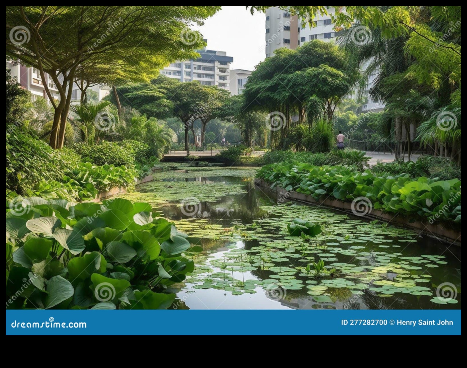 الواحات الخضراء: المتنزهات والحدائق في قلب المدن