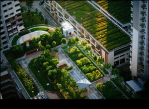 الواحات الخضراء: المتنزهات والحدائق في قلب المدن