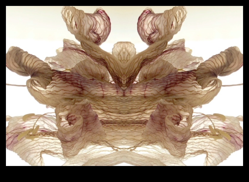 إطلاق العنان للإبداع: ارتقِ بلقطاتك باستخدام الملحقات التي لا غنى عنها