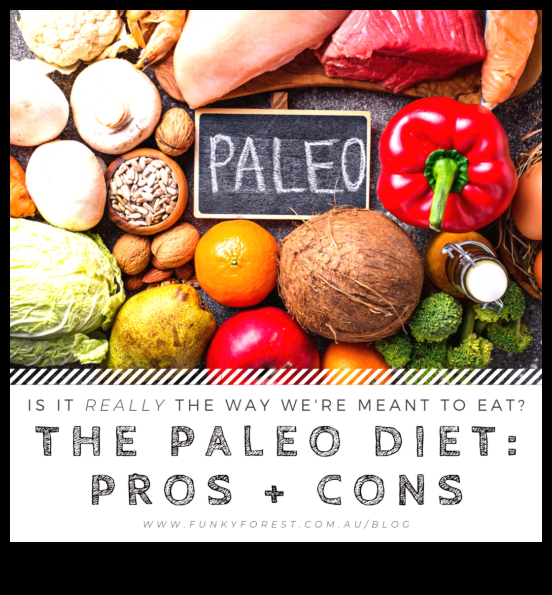 العلم وراء باليو: كيف يعمل النظام الغذائي في العصر الحجري القديم؟