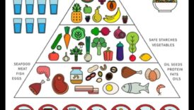 العلم وراء باليو: كيف يعمل النظام الغذائي في العصر الحجري القديم؟