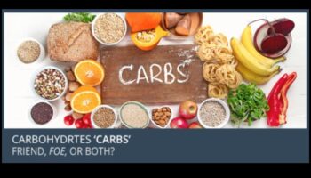 الأنظمة الغذائية منخفضة الكربوهيدرات والاستدامة البيئية: نظرة شمولية