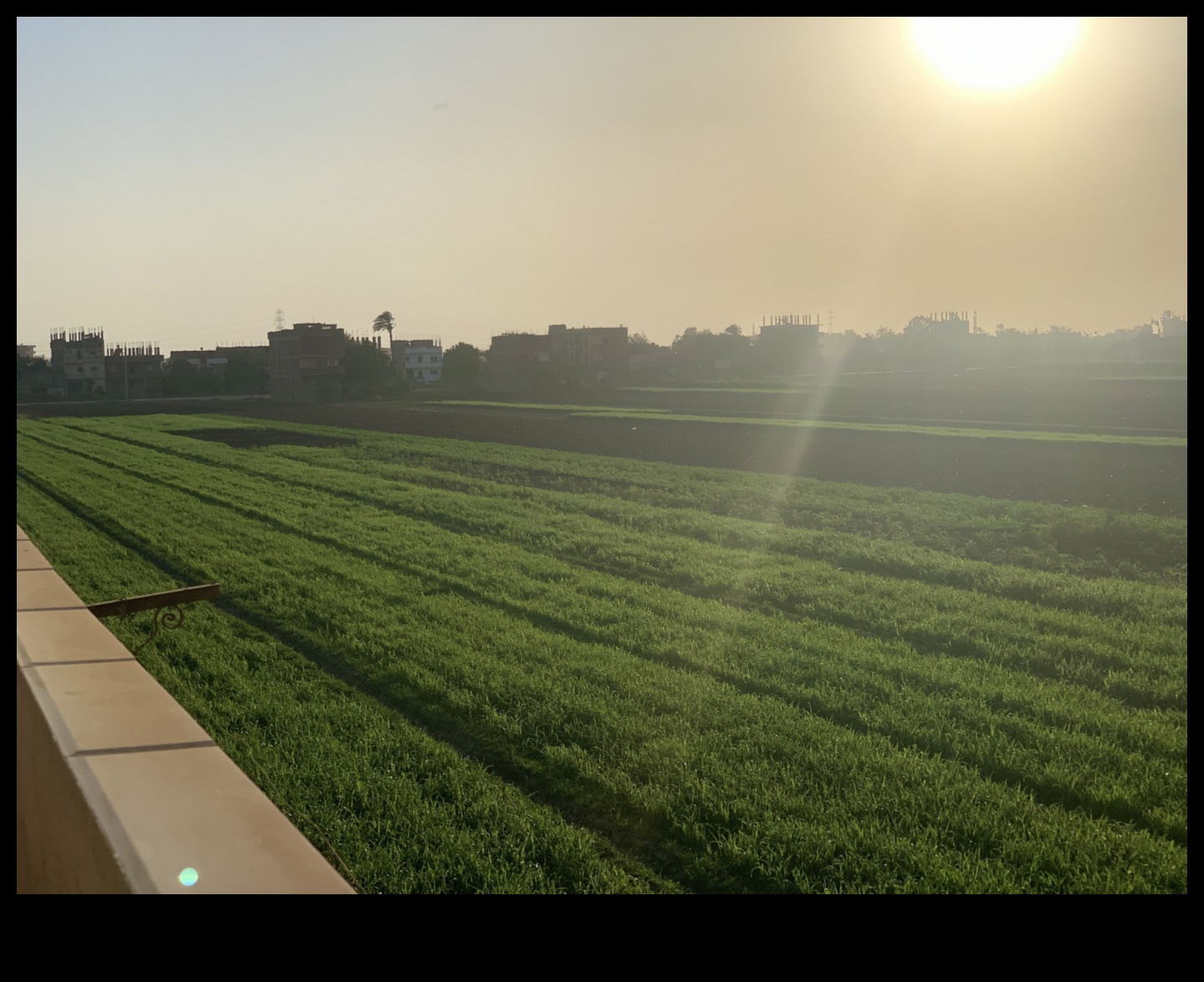 جوهر الحياة الريفية: مناظر ريفية خلابة