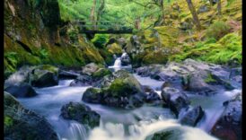 جوهر الحياة الريفية: مناظر ريفية خلابة