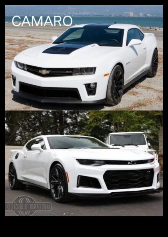 أحلام القيادة: السيارات الفاخرة والسعي إلى الكمال في مجال السيارات