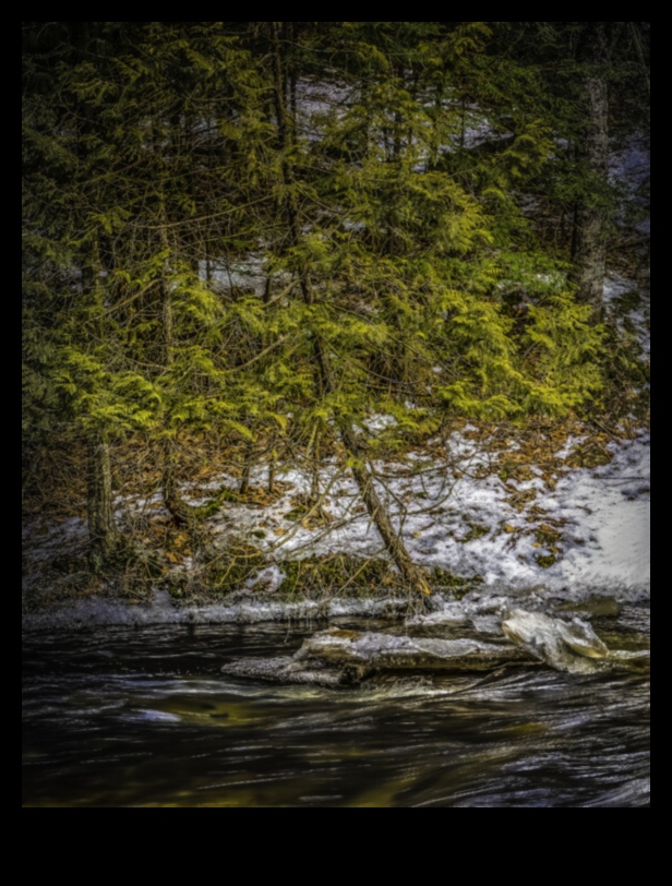 التضاريس الهادئة: تصوير المناظر الطبيعية الهادئة