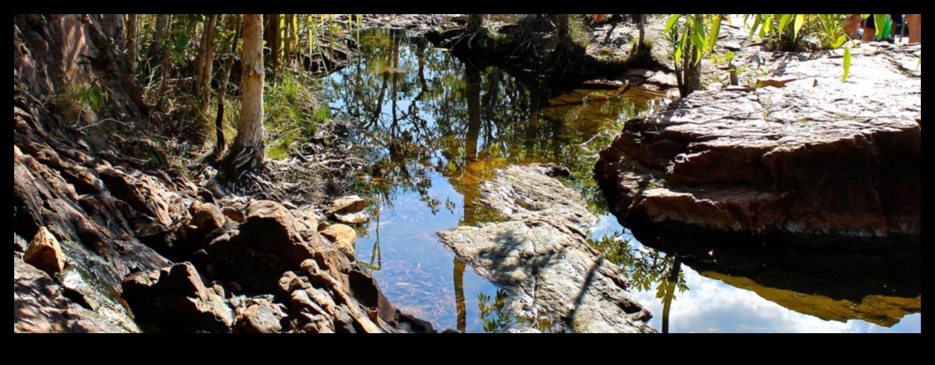 التضاريس الهادئة: تصوير المناظر الطبيعية الهادئة