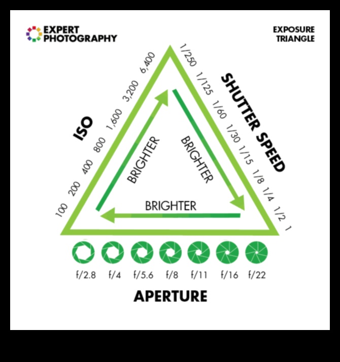 إتقان اللقطات تعلم مهارات التصوير الفوتوغرافي الأساسية للمبتدئين والمحترفين 4 إتقان اللقطات: دروس التصوير الفوتوغرافي الأساسية للجميع