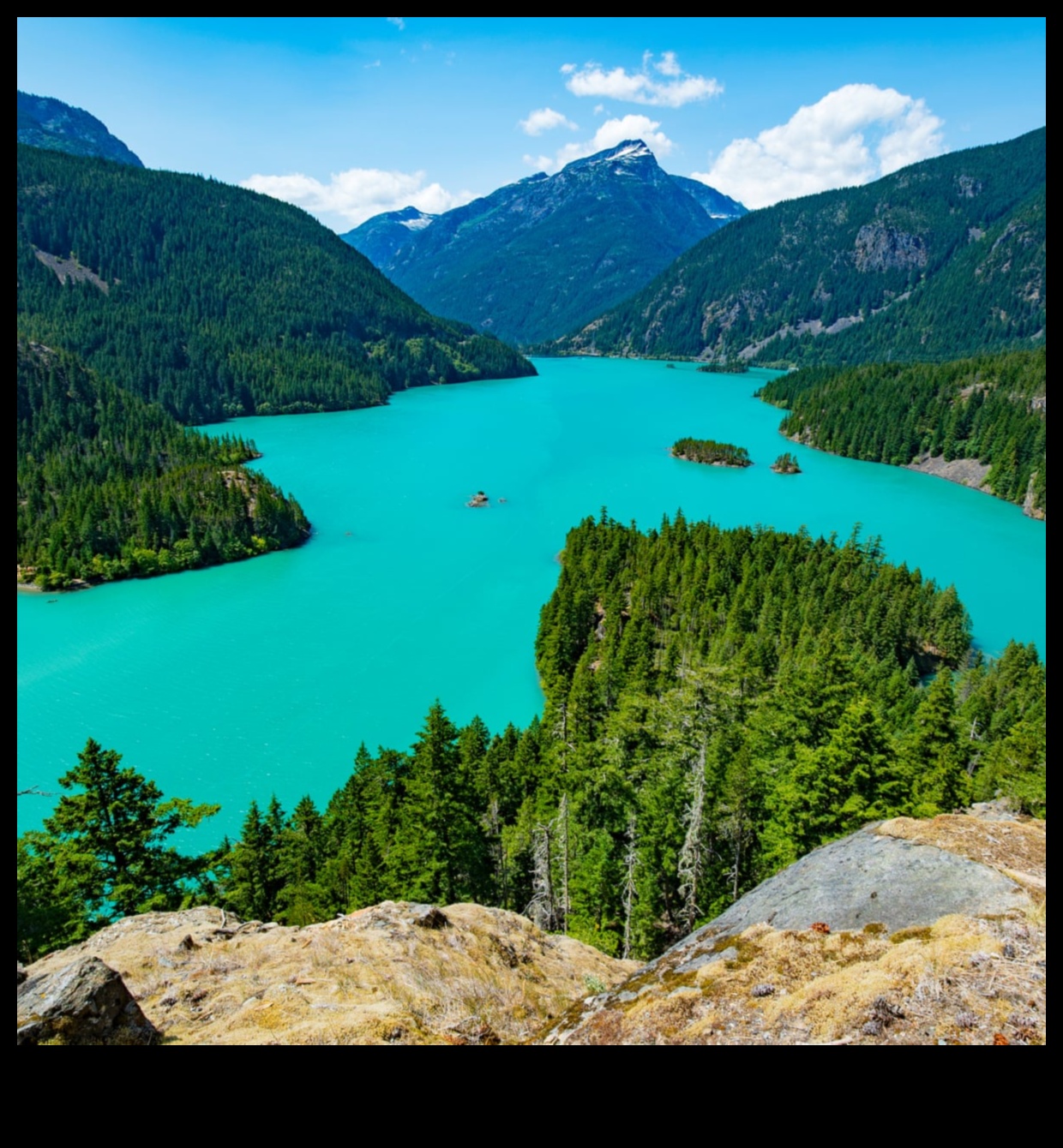 ما هو الدور الذي تلعبه المتنزهات الوطنية في الحفاظ على المناظر الطبيعية؟