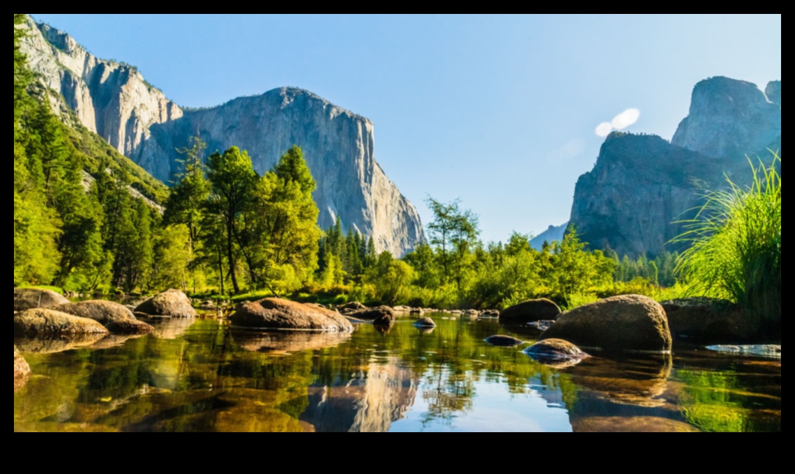 ما هو الدور الذي تلعبه المتنزهات الوطنية في الحفاظ على المناظر الطبيعية؟