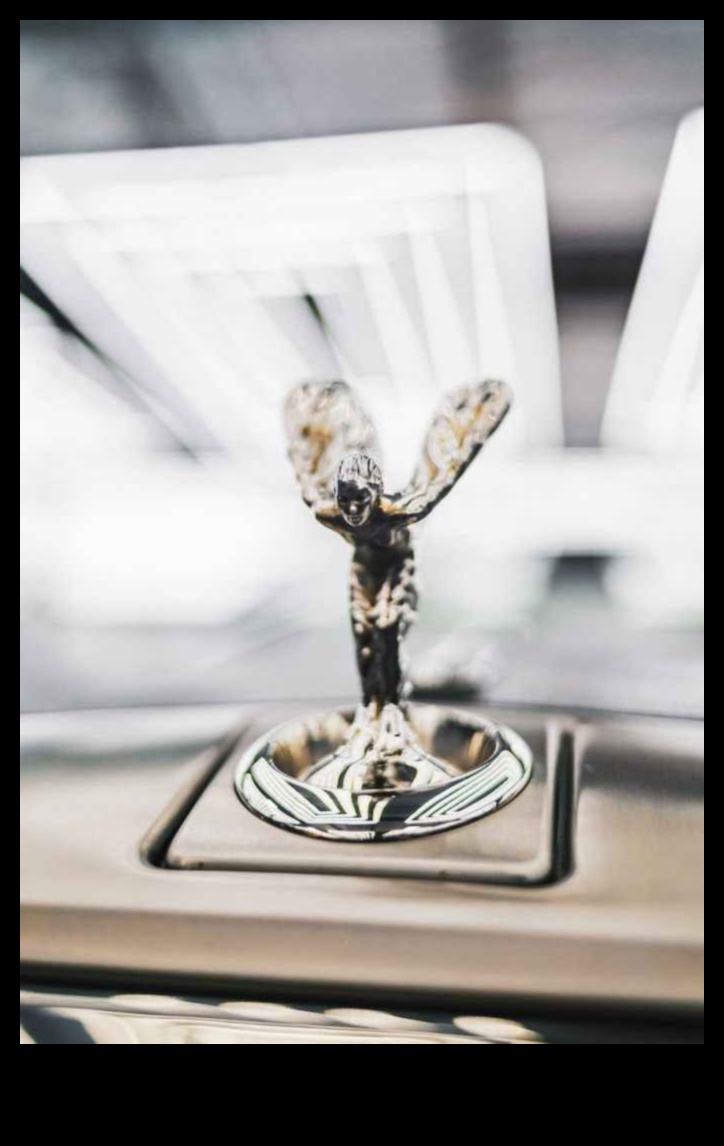 تمييز القيادة: رمزية السيارات الفاخرة في المجتمع الحديث