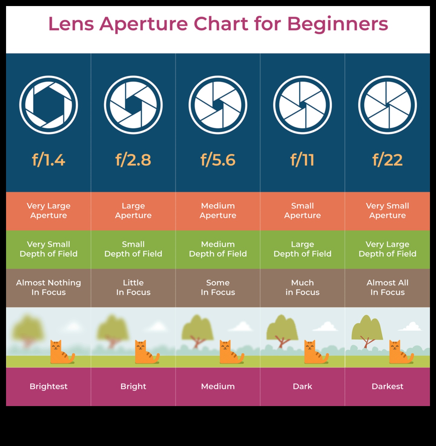 Aperture Aces تعلم من الأفضل وأطلق العنان لإمكاناتك الإبداعية في التصوير الفوتوغرافي 3 الفتحة ارسالا ساحقا: إطلاق العنان للإبداع مع تعليم التصوير الفوتوغرافي الخبراء