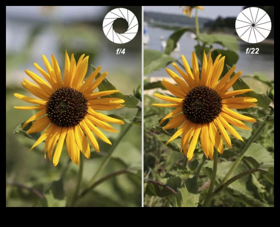 Aperture Aces تعلم من الأفضل وأطلق العنان لإمكاناتك الإبداعية في التصوير الفوتوغرافي 5 الفتحة ارسالا ساحقا: إطلاق العنان للإبداع مع تعليم التصوير الفوتوغرافي الخبراء