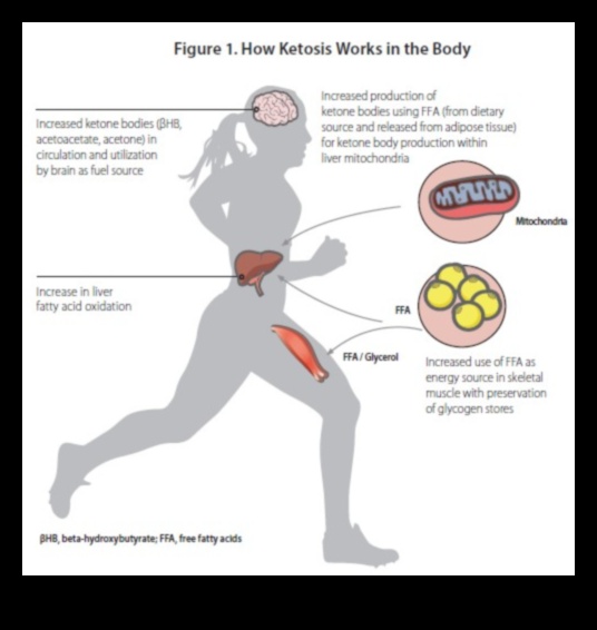 العلم وراء الأنظمة الغذائية منخفضة الكربوهيدرات والكيتوزية