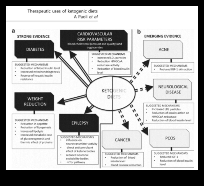 العلم وراء الأنظمة الغذائية منخفضة الكربوهيدرات والكيتوزية