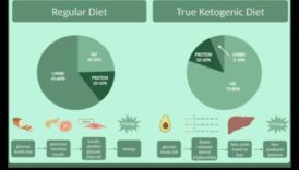 العلم وراء الأنظمة الغذائية منخفضة الكربوهيدرات والكيتوزية