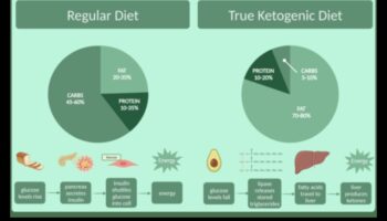 العلم وراء الأنظمة الغذائية منخفضة الكربوهيدرات والكيتوزية