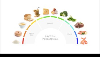تعظيم التغذية: ميزة النظام الغذائي عالي البروتين