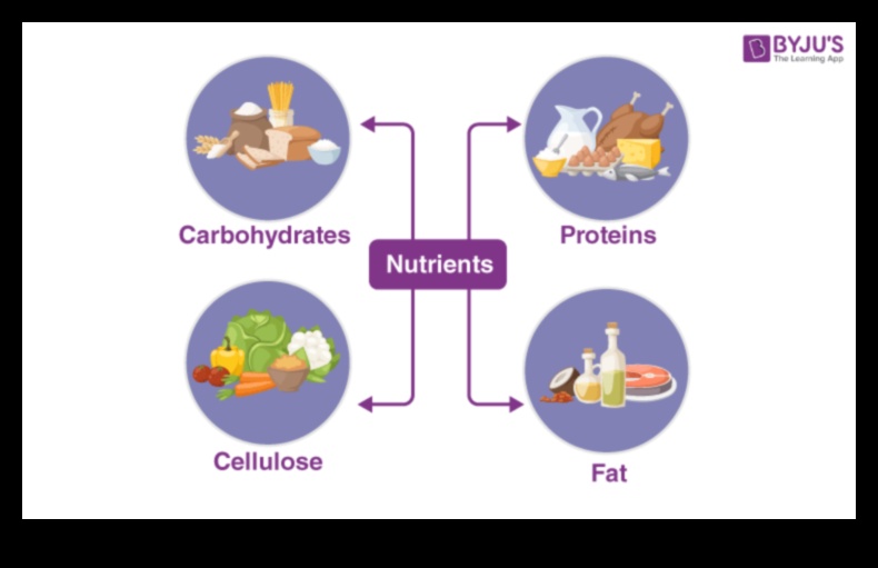 التغذية المتوازنة، الحياة المتوازنة: معادلة المغذيات الأساسية