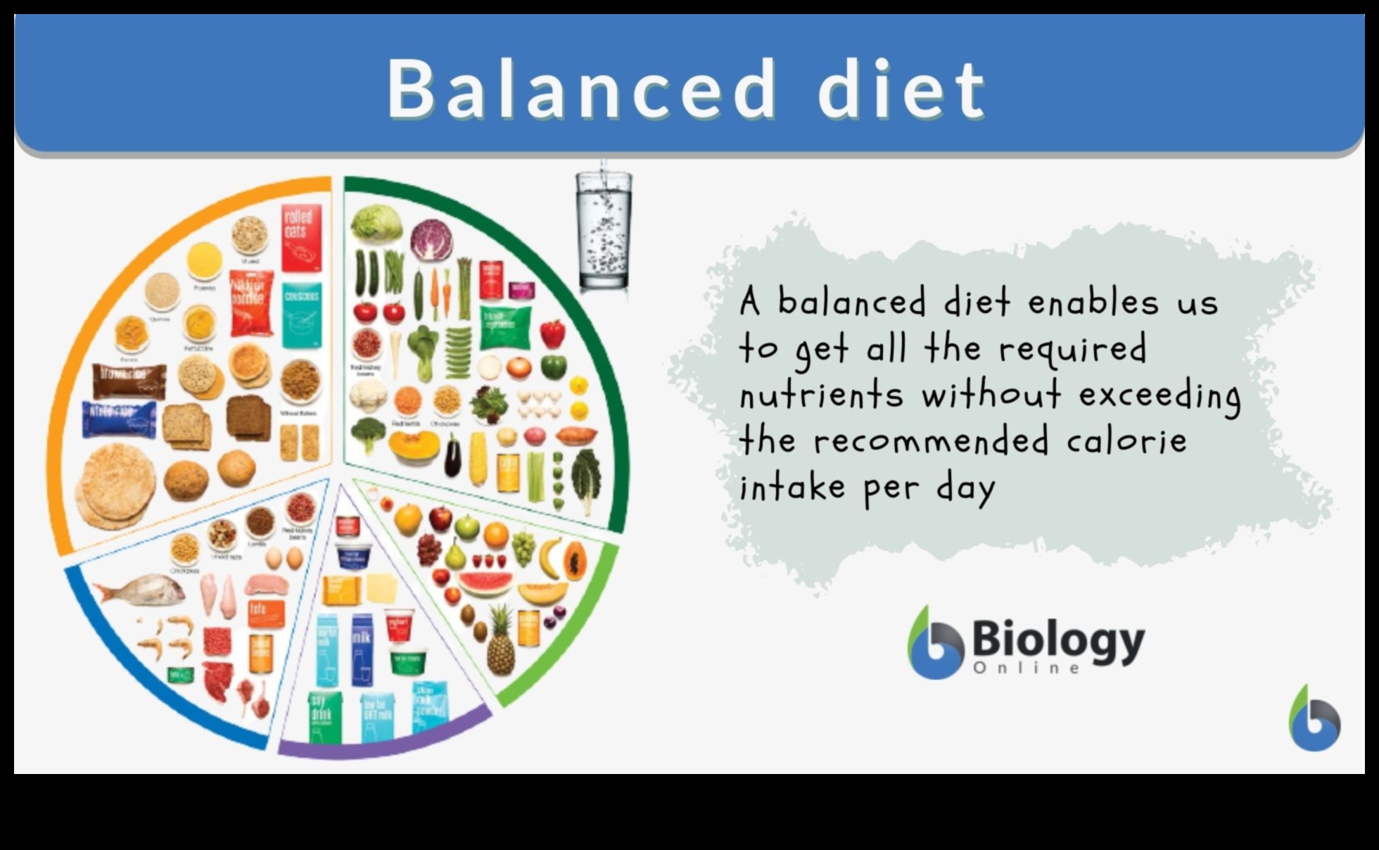 التغذية المتوازنة، الحياة المتوازنة: معادلة المغذيات الأساسية