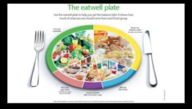 التغذية المتوازنة، الحياة المتوازنة: معادلة المغذيات الأساسية