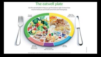 التغذية المتوازنة، الحياة المتوازنة: معادلة المغذيات الأساسية