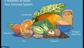 تعزيز الصحة: ​​استراتيجيات للتغلب على نقص المغذيات