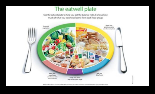 التغذية المتوازنة، الحياة المتوازنة: معادلة المغذيات الأساسية