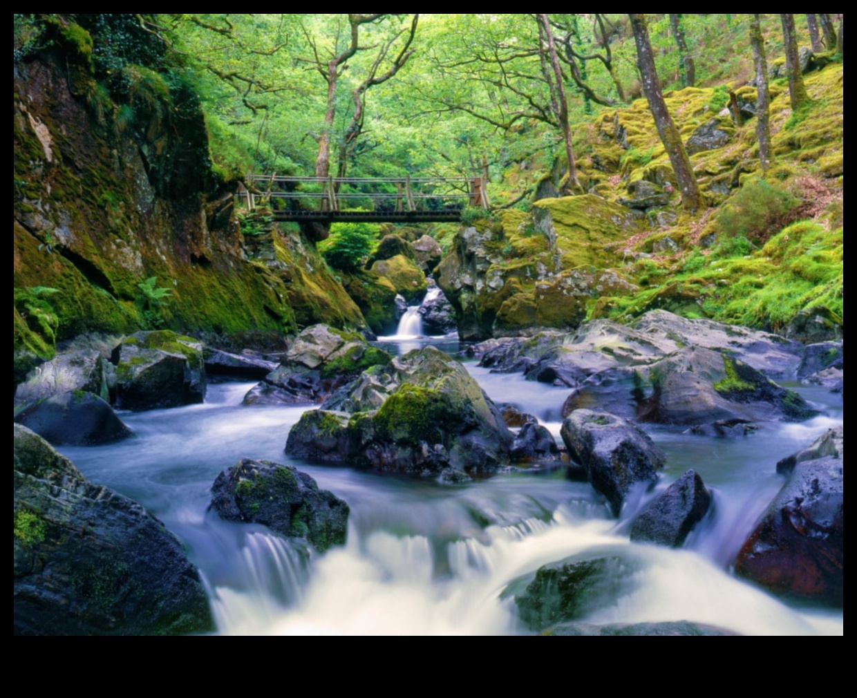 جوهر الحياة الريفية: مناظر ريفية خلابة