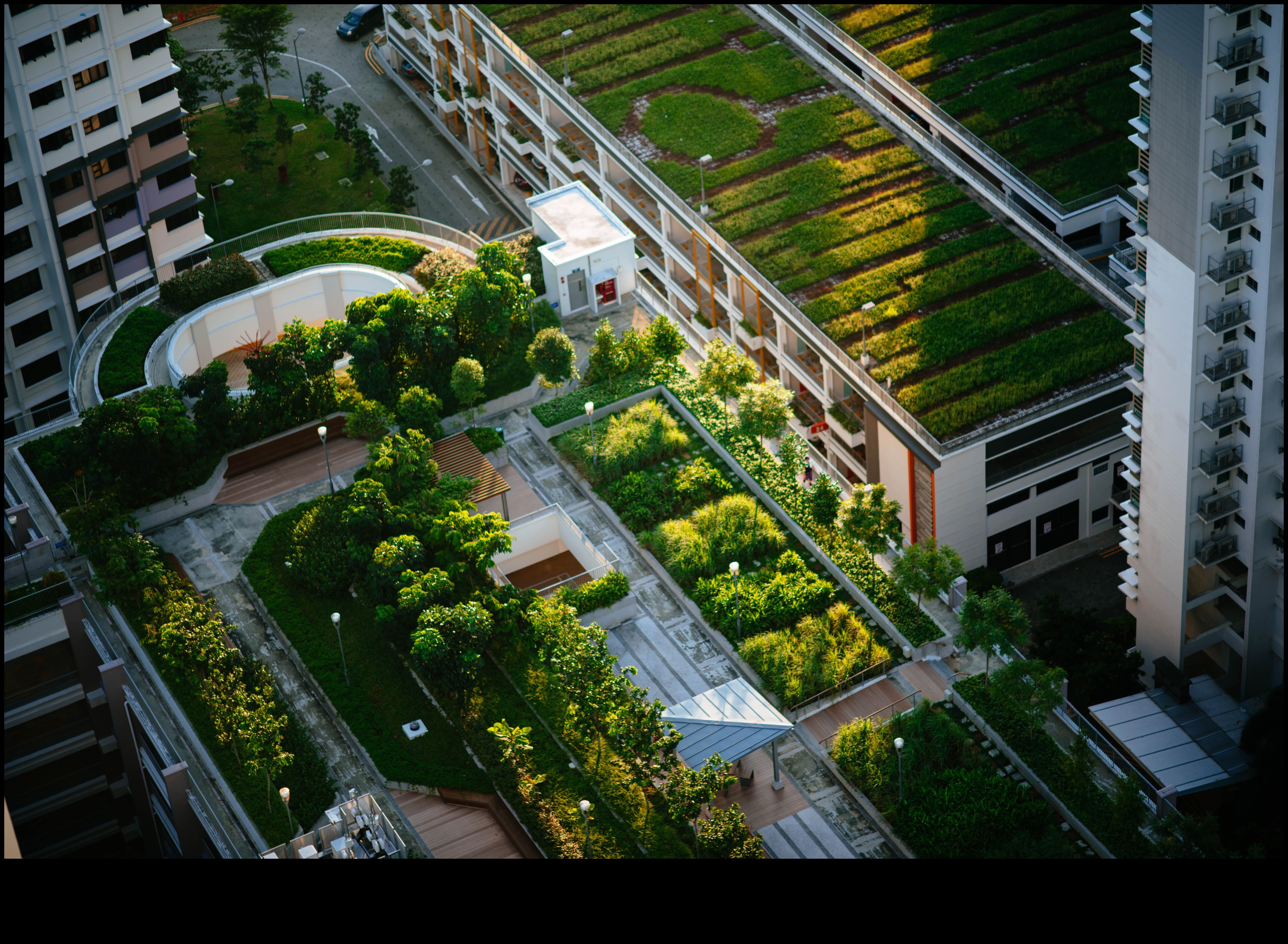 الواحات الخضراء: المتنزهات والحدائق في قلب المدن